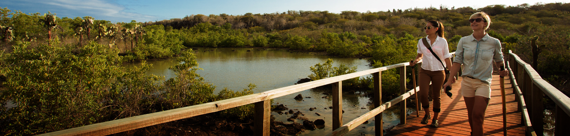 tour-operator-ecuador-dmc-galapagos-andean-travel-company